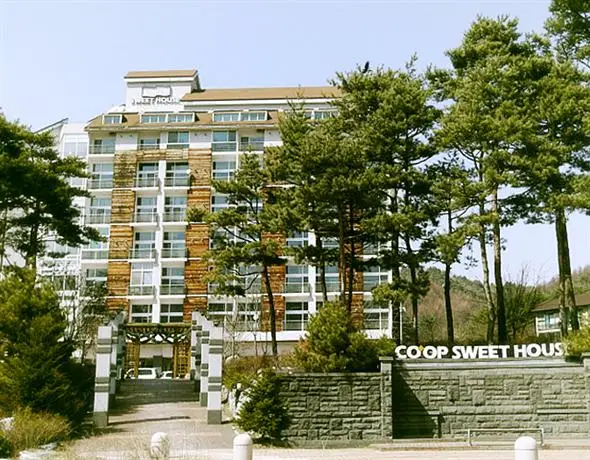 Coop Sweet House Pyeongchang