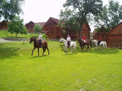 Zolota Gora Hotel-Rancho 