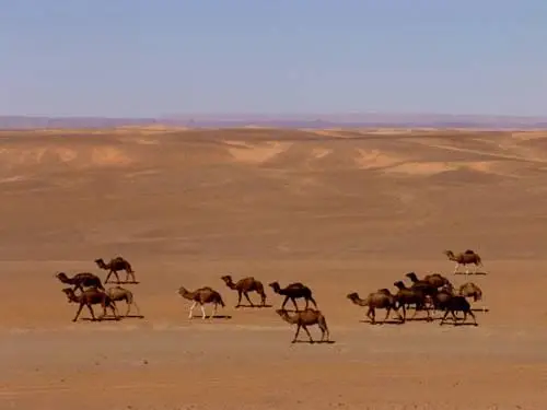 Yasmina Hotel Merzouga 