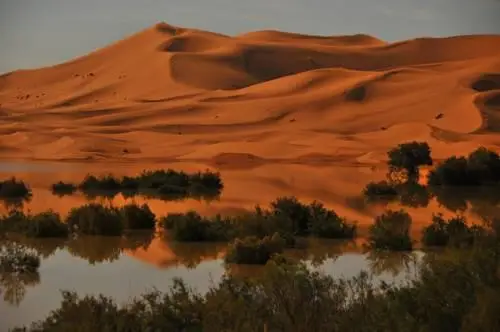 Yasmina Hotel Merzouga 