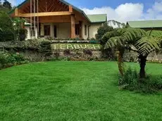 Tea Bush Hotel 