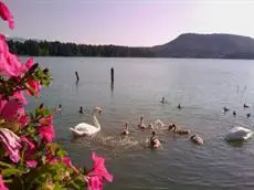 Ferienwohnung Am Sonnhjugel 