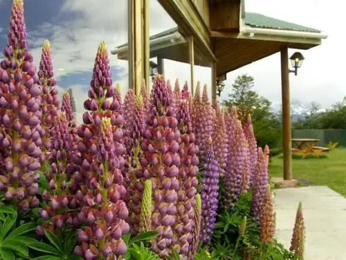 Hotel del Paine 