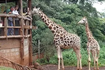 Boma Inn Nairobi 