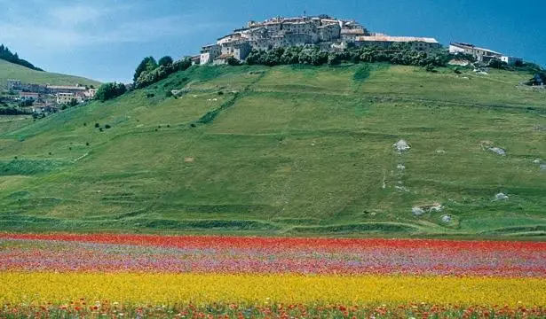 Palazzo Del Papa Agriturismo 