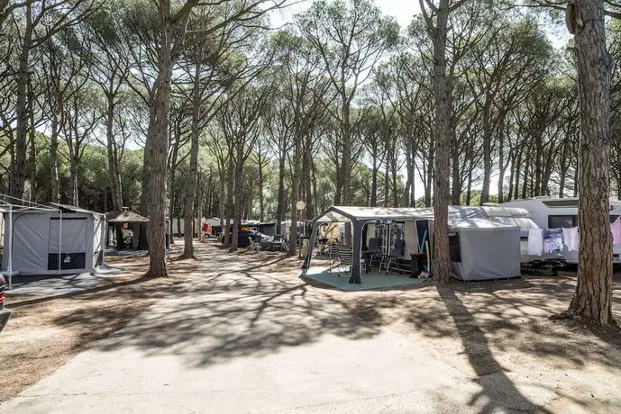 Camping Neptuno