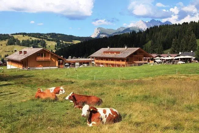 Tirler - Dolomites Living Hotel 