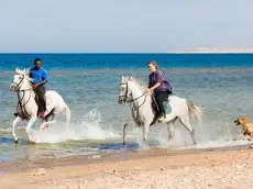 Mercure Hurghada Hotel 