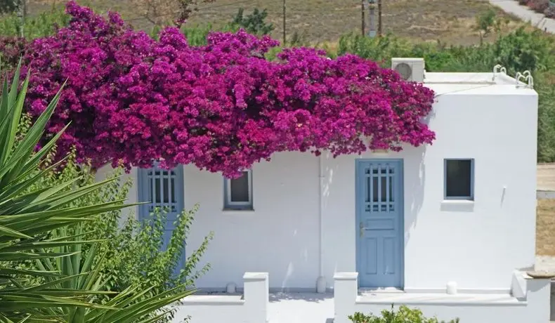 Yiannis Studios Paros