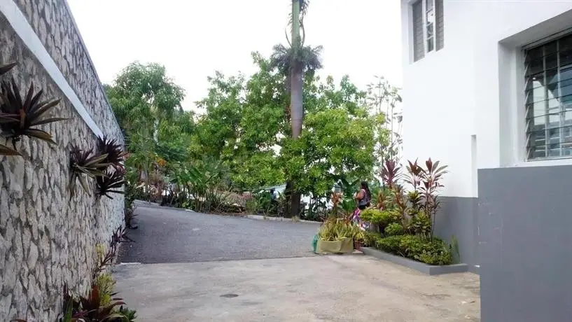 Palm View Guest House 