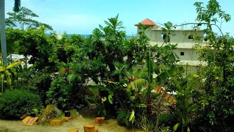 Palm View Guest House 