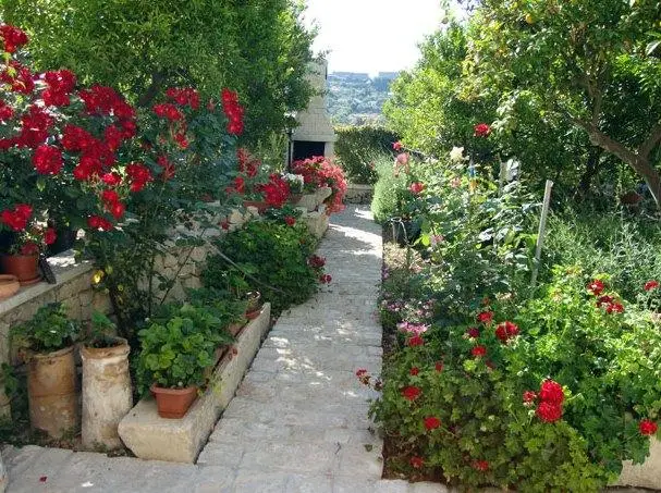 B&B Il Giardino Dei Mandarini 