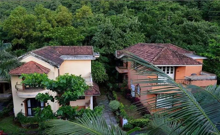 Bougainvillea Guest House 