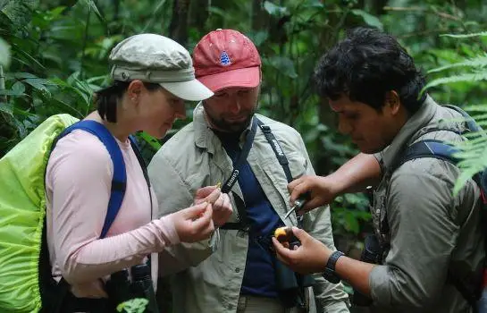 Refugio Amazonas Lodge