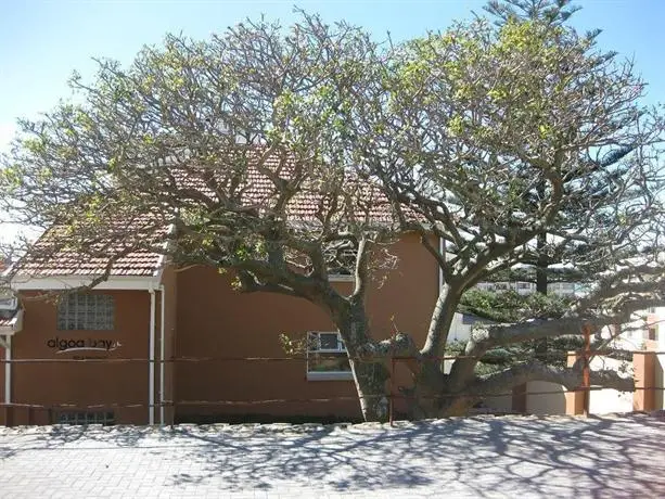 Algoa Bay Bed & Breakfast 