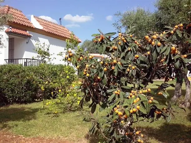 Finca La Luz Bed & Breakfast 