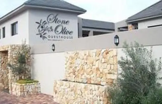 Stone Olive