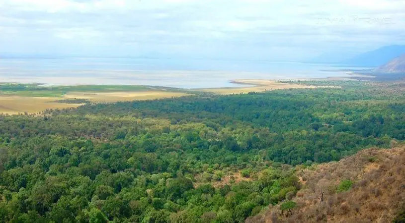 Manyara Wildlife Safari Camp 