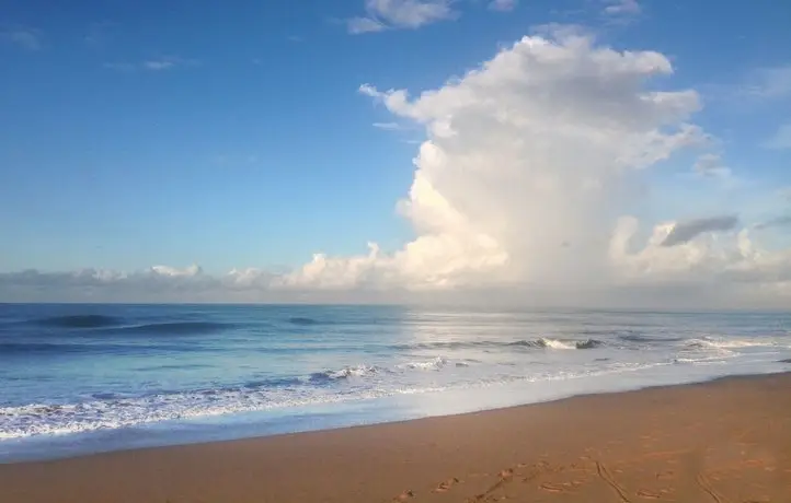 Oasis Canggu Bali 