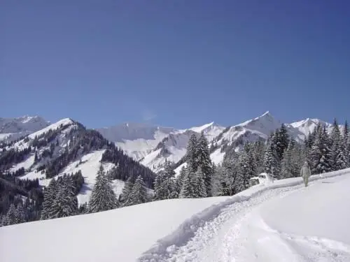 Ferienwohnungen am Walmendingerhorn 