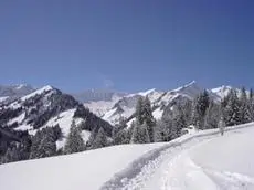 Ferienwohnungen am Walmendingerhorn 