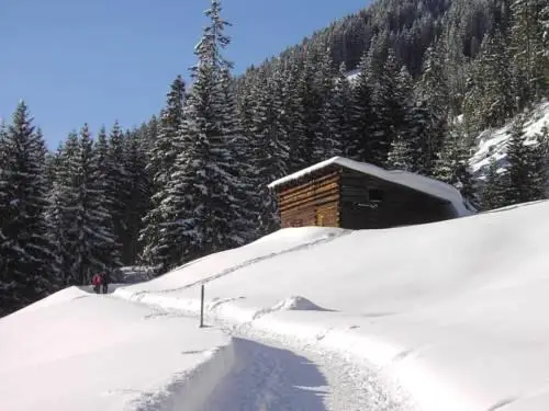 Ferienwohnungen am Walmendingerhorn 