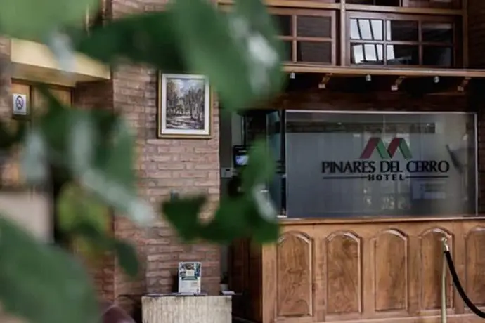 Hotel Pinares del Cerro 