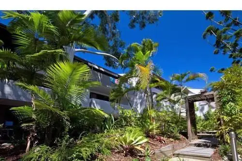 Tea Trees Noosa Heads 