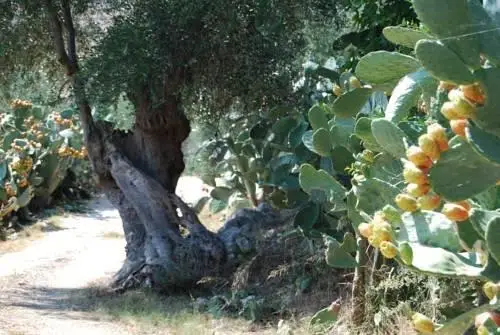 Agriturismo Madonna Incoronata 