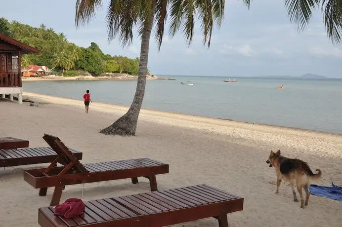 Phangan Rainbow Bungalows 