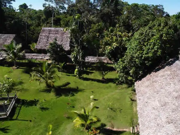 Amazon Rainforest Lodge 