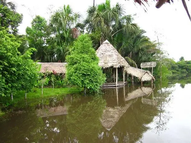 Amazon Rainforest Lodge 