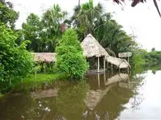 Amazon Rainforest Lodge 