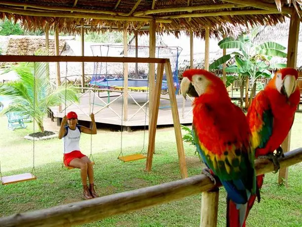 Amazon Rainforest Lodge 