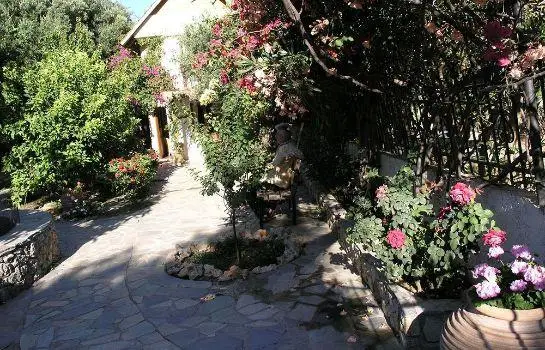 Olive Tree Cottages 