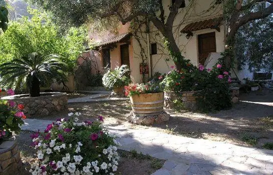 Olive Tree Cottages 