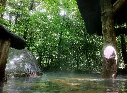 Kurokawa Onsen Oyado Noshiyu 