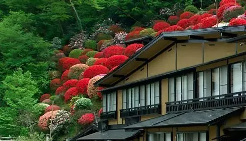 Kurokawa Onsen Yama no Yado Shinmeikan