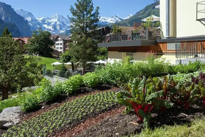 Hotel Schonegg Lauterbrunnen 