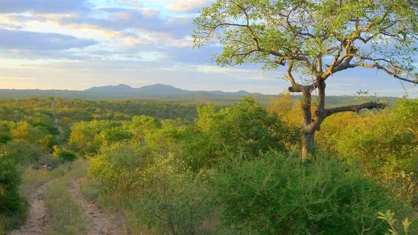 Masodini Private Game Lodge 