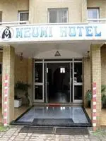 Hotel Meumi Palace 