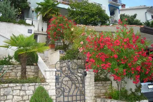 Villa Mare Rabac 