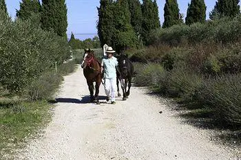 Le Mas des Figues Agrotourisme 