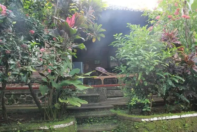 Aji Lodge Bungalow 