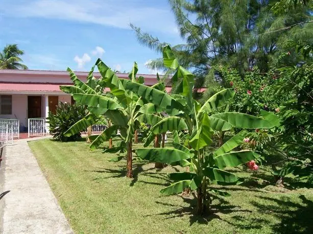 Golden Thistle Hotel 