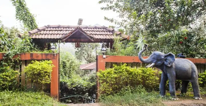 Planet Green Plantation Resorts Wayanad Kerala 