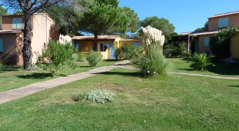 Palmiers de Palombaggia