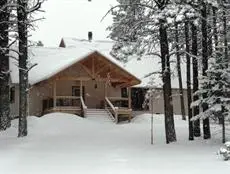 Angel Fire Homes Vacation Rentals 