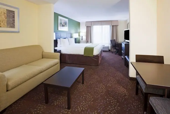 Holiday Inn Express and Suites Rochester West-Medical Center 