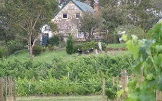 Craigie Knowe Cottage and Vineyard